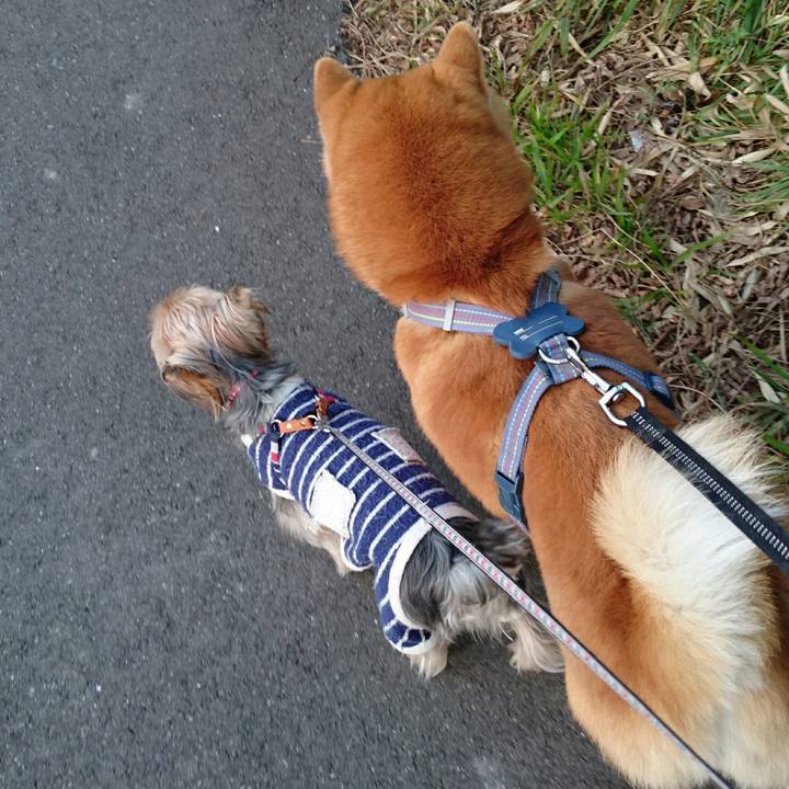 16ad3815 6260 4b5f ad53 8d778197063e