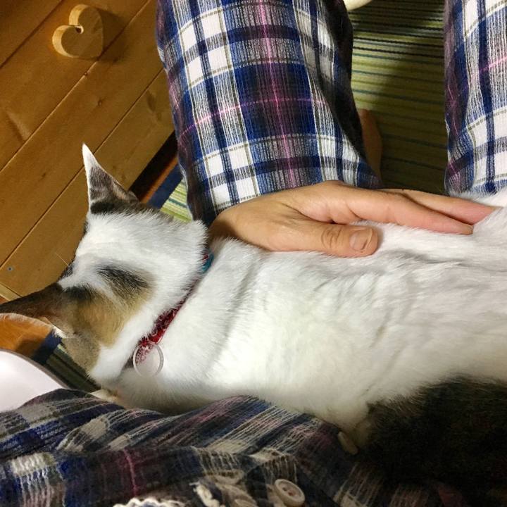 16ad67cd 747c 42d0 b286 4d9dae602fcc