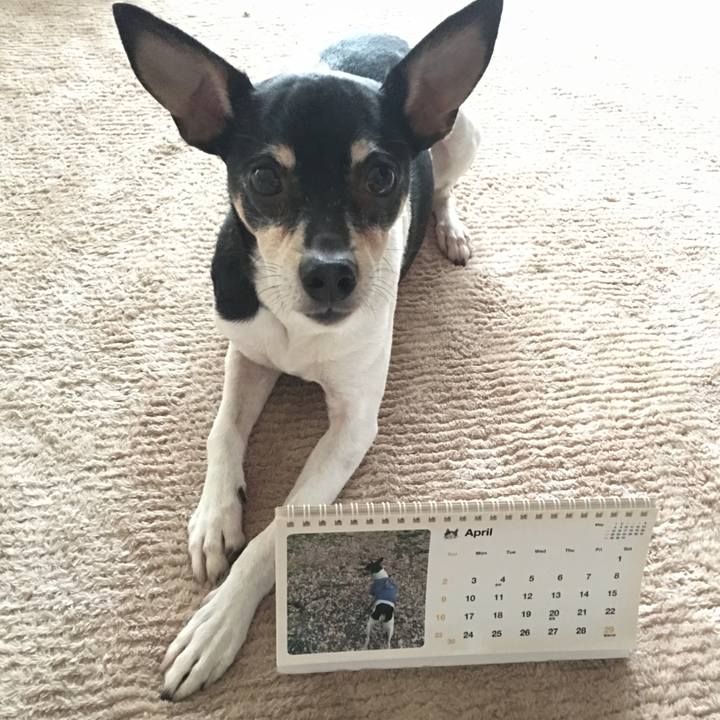 16ada86d 091c 424a bcd5 b98bd5f10b51