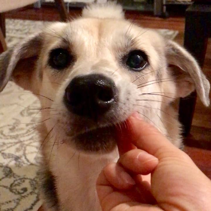 16ae0d79 f175 423e 89f1 fcc1fb82545c