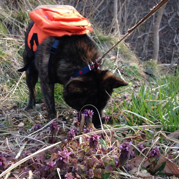 16ae2917 8cf1 413f 8fca a44c48aa45b9