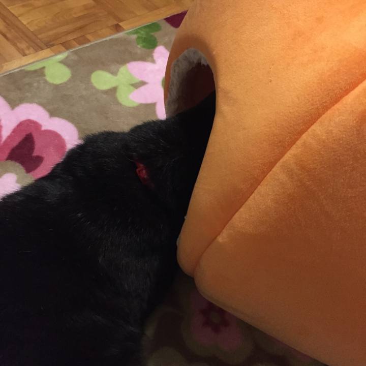 16aef09c 6770 4eea 9973 6cc95ab50c9d