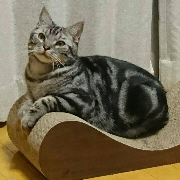 16aeff41 651f 4d30 8516 6a643bb17c8f