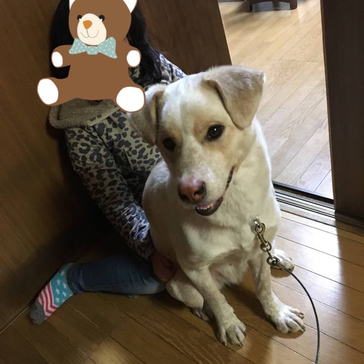 16af2afd fea0 4cab 946f 8e9cb5119067