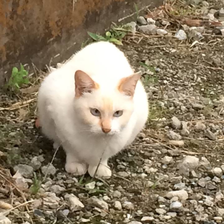 16af8710 03e5 4688 b35b 2bdee4d60bfe