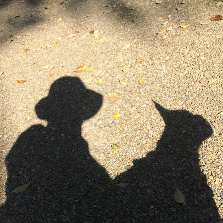 16b0009c bd81 4251 84c2 366c9fc81ed3