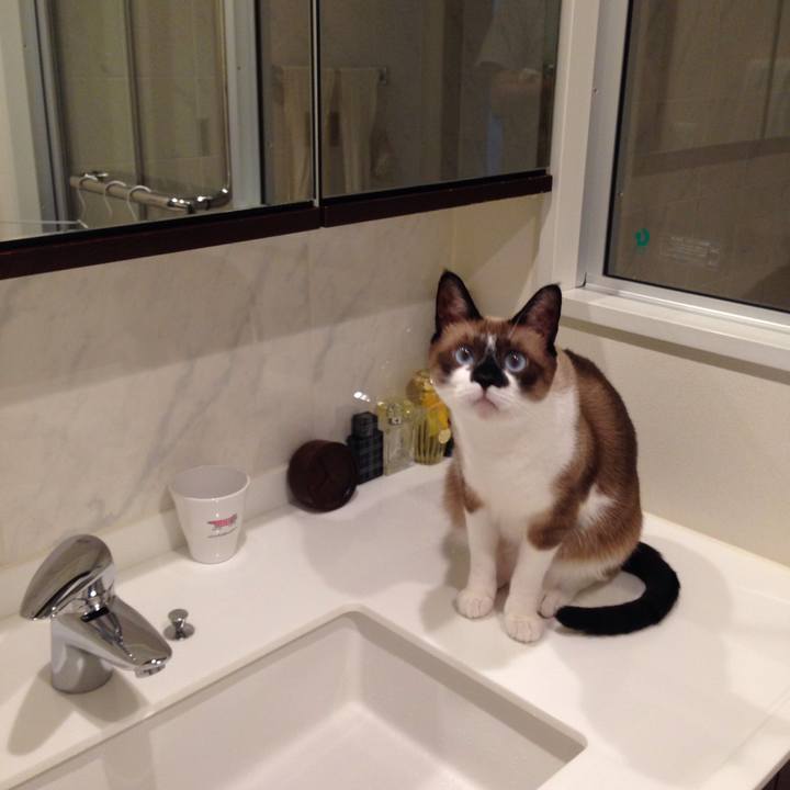 16b0cd22 41cf 4518 a8b2 4a9ffdb013e5