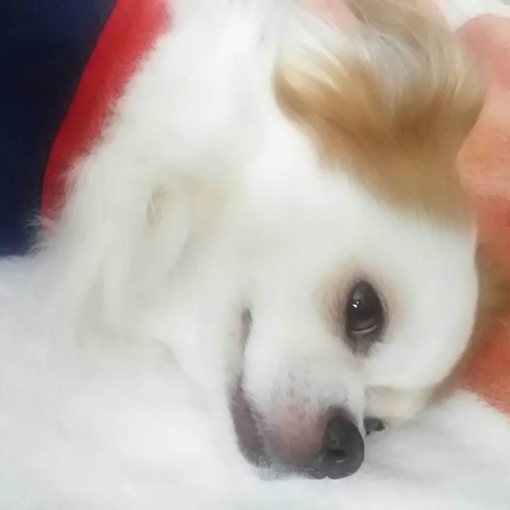 16b10adf 984e 4218 b253 8319653d90a1