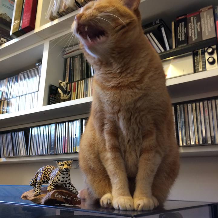 16b1a2a4 3bd2 4a6e b4cb 28d1ddc5f34b