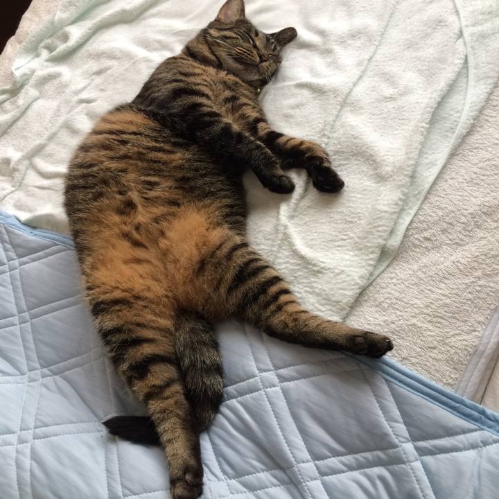 16b1d173 43fb 4ffb 9c25 c09bbecd748e