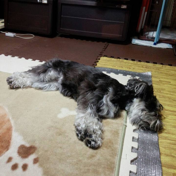 16b2a139 bd02 4210 94f6 4a1beecad6ea