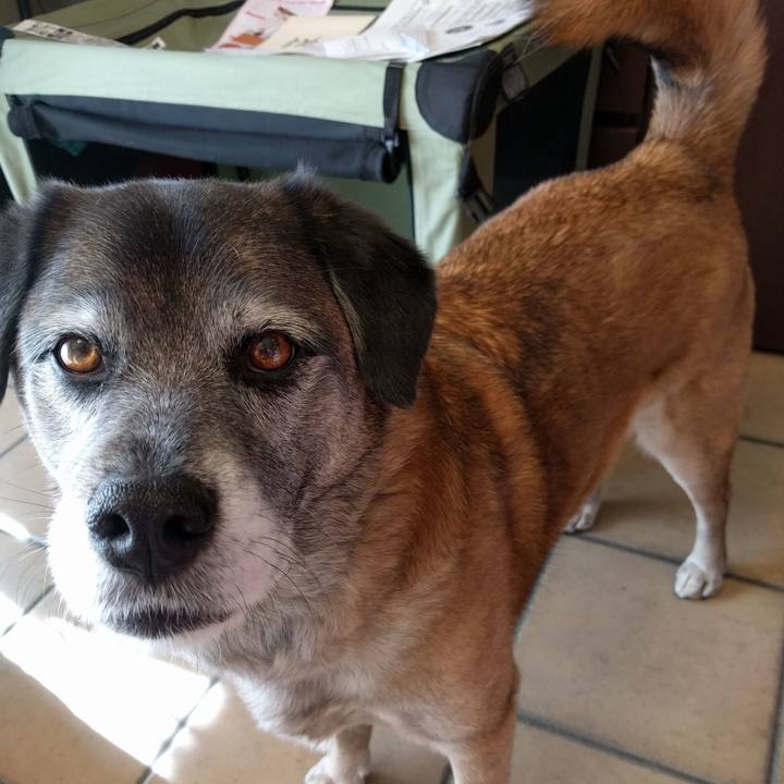 16b2e4b5 e8a7 483a b702 0820579d3d2a