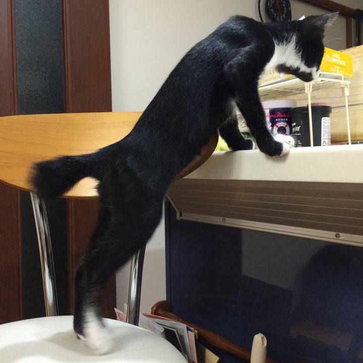 16b323ed 2f47 46f9 b6cd d46387586b4e