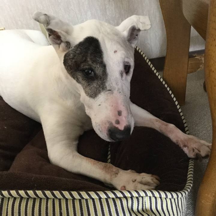 16b34d15 dabf 4de4 9d11 cfa626234f13