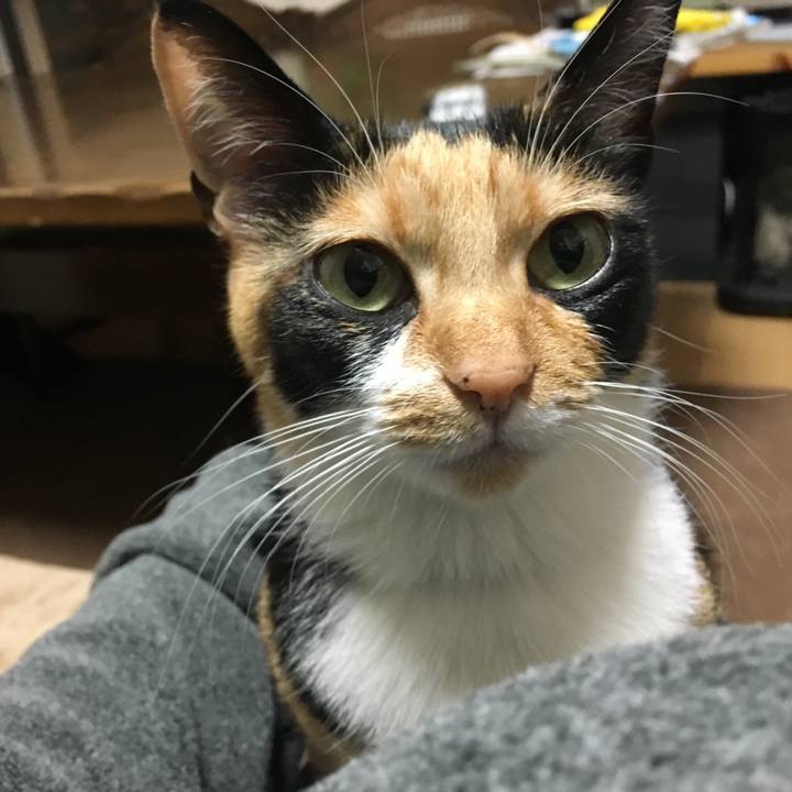 16b37980 7422 426f b33f 19023ce936fb