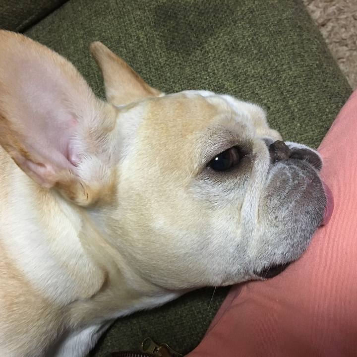 16b38f4a 68ff 4d00 b7ed 6d2c6bd7d3f6