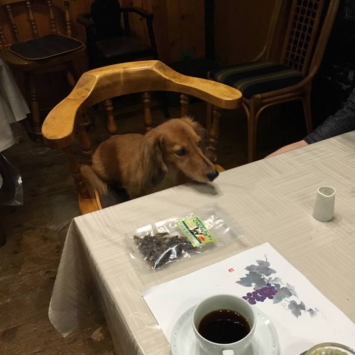 16b3f907 6f08 4276 bb87 326c77657b1a