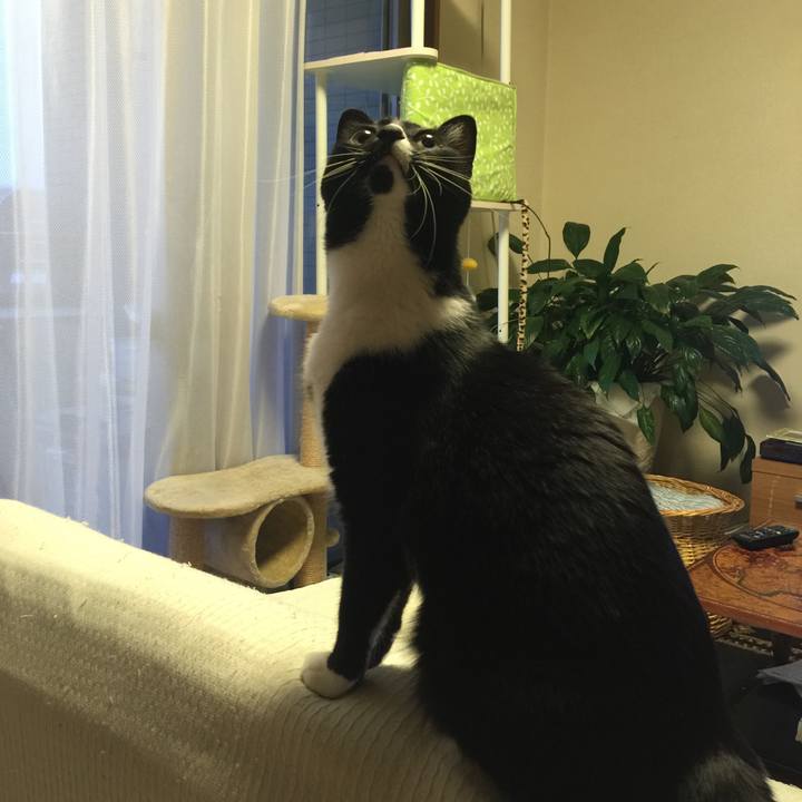 16b48c58 58c4 4c3d 9b9b f24ef777811d