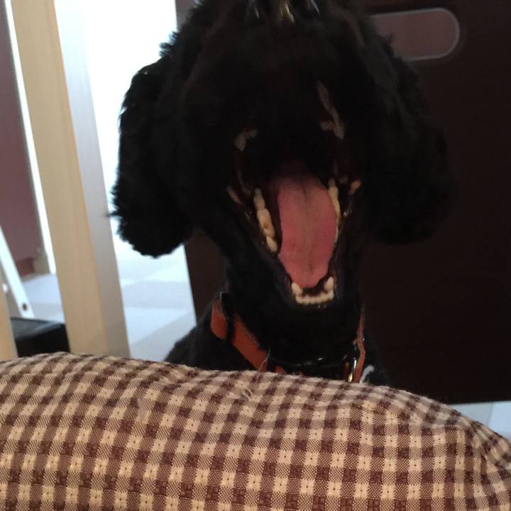 16b54fa9 527c 47fb ba92 7b5808c3cf2d