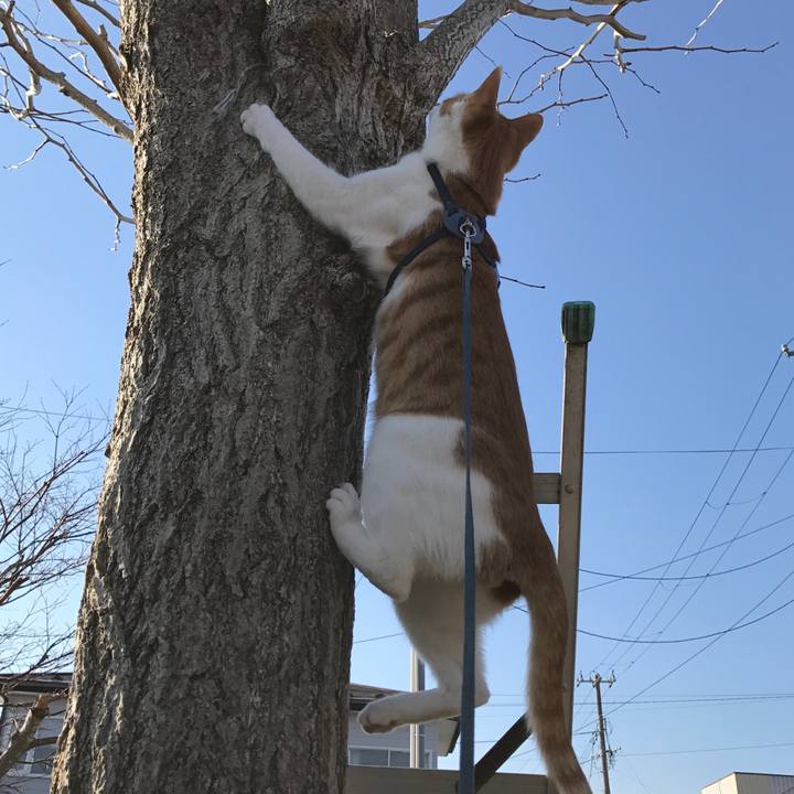 16b605fc 7bf5 4a5e b851 3e97fc64d1a7