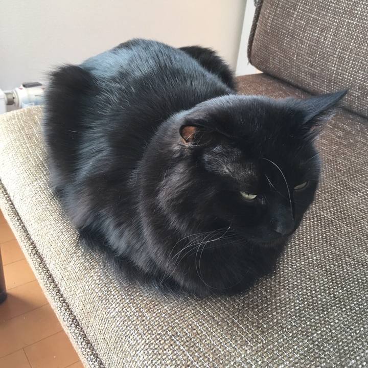 16b66354 9de9 4ed3 a1c7 697777c937e8