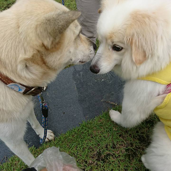 16b6ede6 da15 4608 b0e2 164c684fb4f3