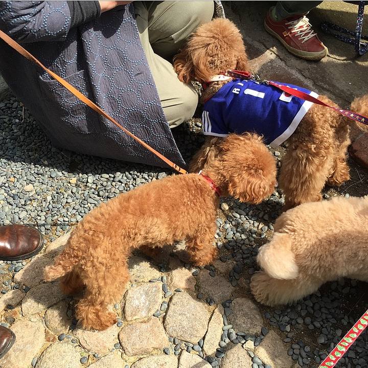 16b704e1 74a9 4074 8e7e c37c36be7c45