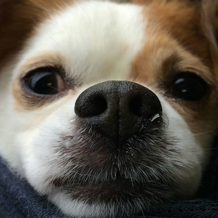 16b70aab 5496 49b6 bee7 e9e34aca1cd4