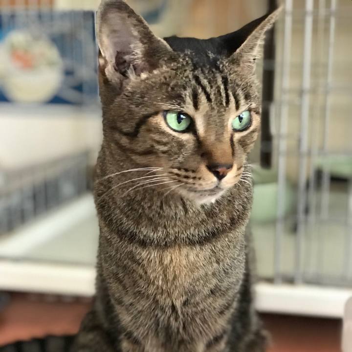 16b711bb 5185 4e49 8b85 45654238ec81