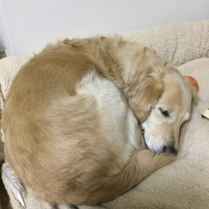 16b738dd 5bfc 48ea 9547 9b152ac57fdc