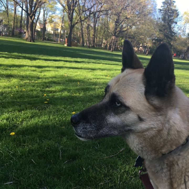 16b7958d 2f82 419f bf9a 26f9b0e90d0d