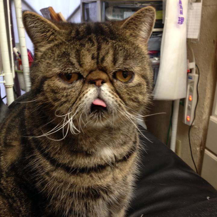 16b79b7e f81a 4a6d 82d8 d44acb83ad70