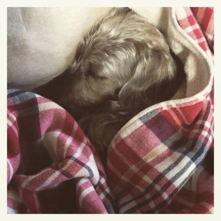 16b81ba6 6ccd 45ab a1f3 c90798de7330