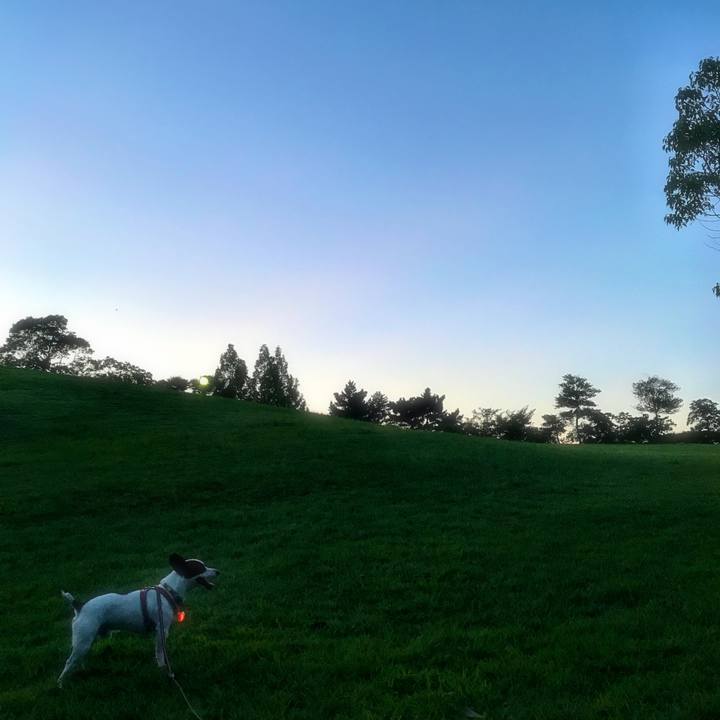 16b83123 9d5c 4699 bdfe cdd4b4cd32c9