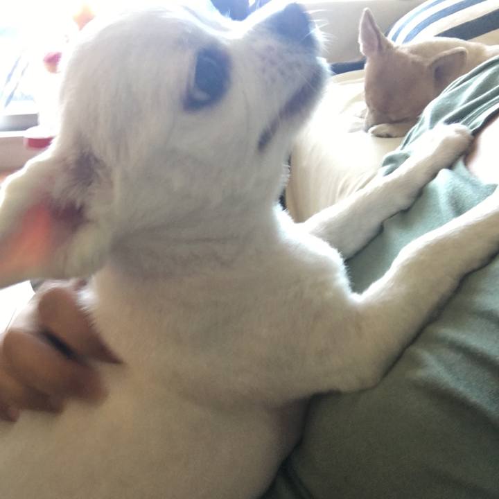 16b8458e b874 42ef b0b9 cde321e2804d