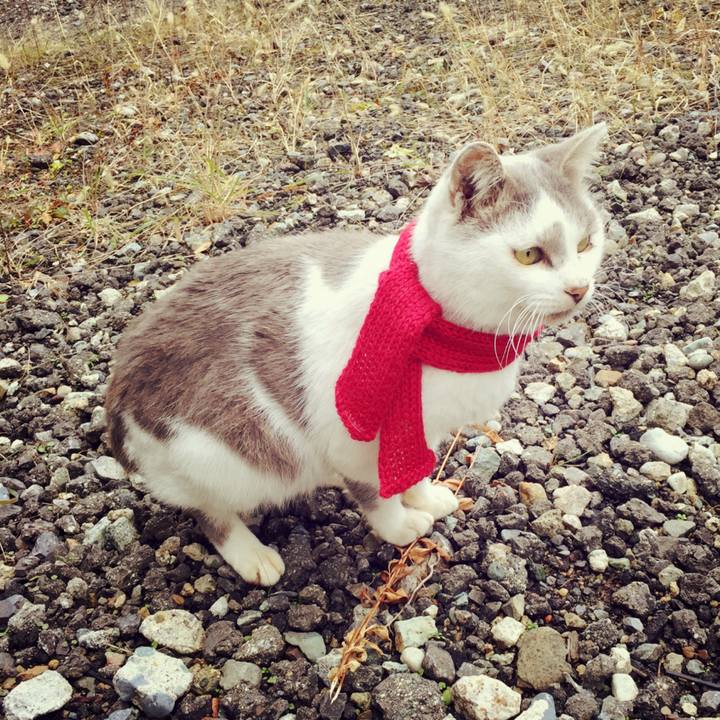 16b8ea80 57d3 43a9 bdd7 1a6bf0eb284e