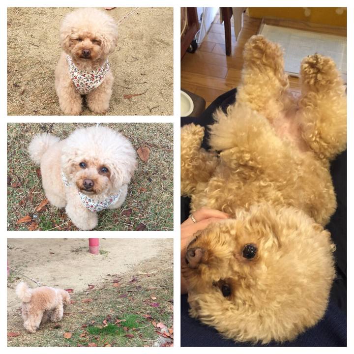 16b910ef 8d34 49b7 a2e1 3e754ba79e80