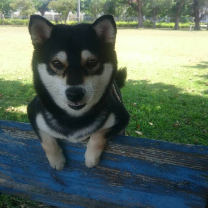 16b9e30e c564 4db6 8aab e17585c7ba69