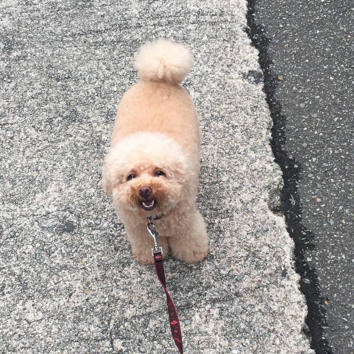 16ba7f58 7ecc 449e 9b3c 2f963d32e093