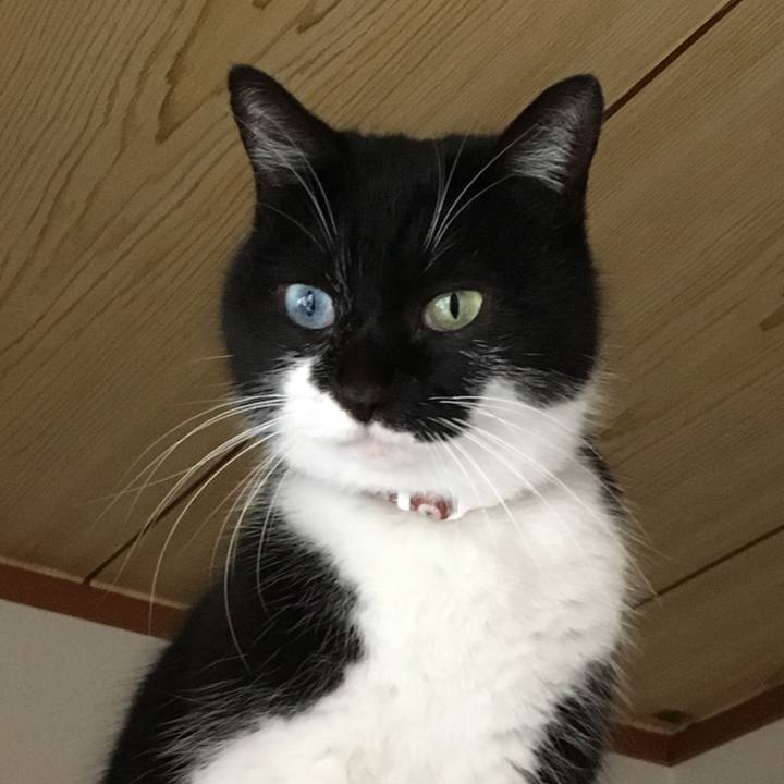 16bae1e6 f3fb 4c9a 8eba 8627b9d6f424