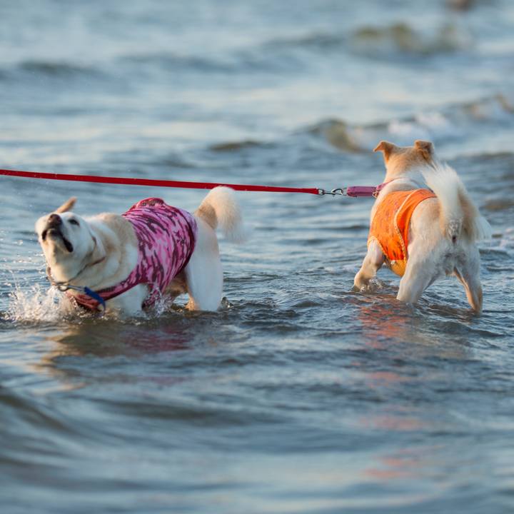 16bb3214 46c7 4426 a828 3374779af023