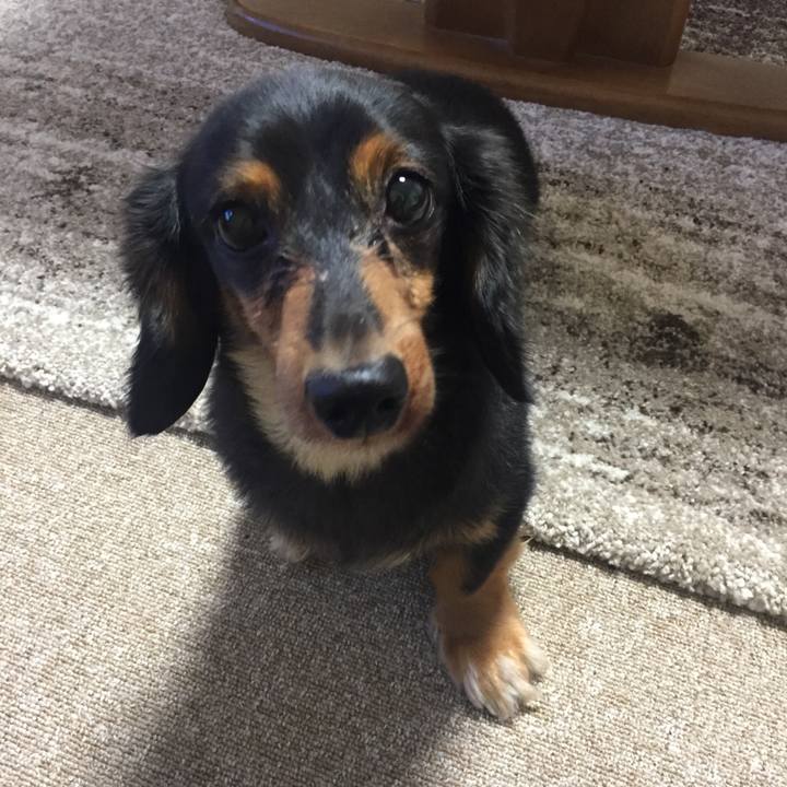 16bba934 8109 42e3 bb12 603b1cfb008d