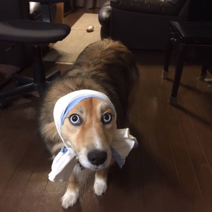 16bbbd5e 2574 4b7b 8757 efdeb75883b9