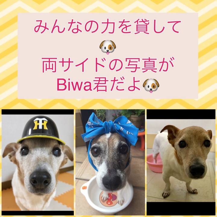 16bc1f08 613e 477c b4a3 17dc45c1f414