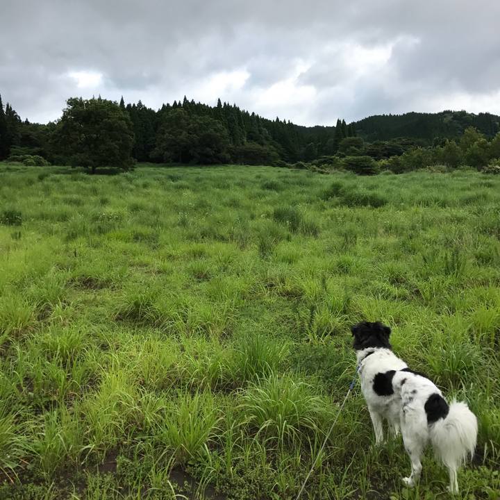 16bd0e3c ea49 47b4 a5e6 e50db05aaca3