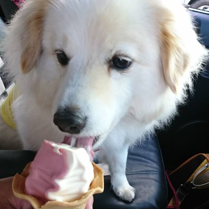 16bd4202 7a0b 46f9 b114 2c00aa664658