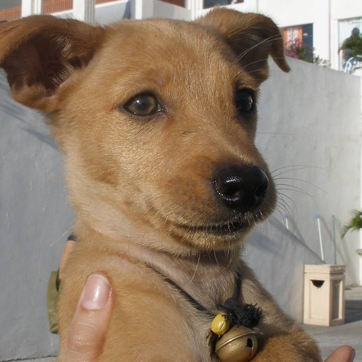 16be27ef 2c04 434a 8b0e 4b0ff4509e24