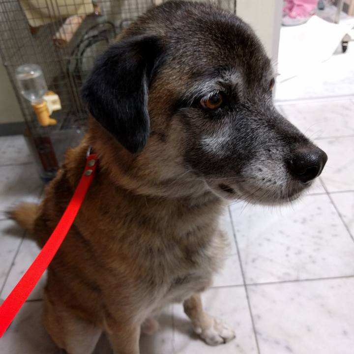 16be9873 6c84 4a07 9176 c8f8e4312e43