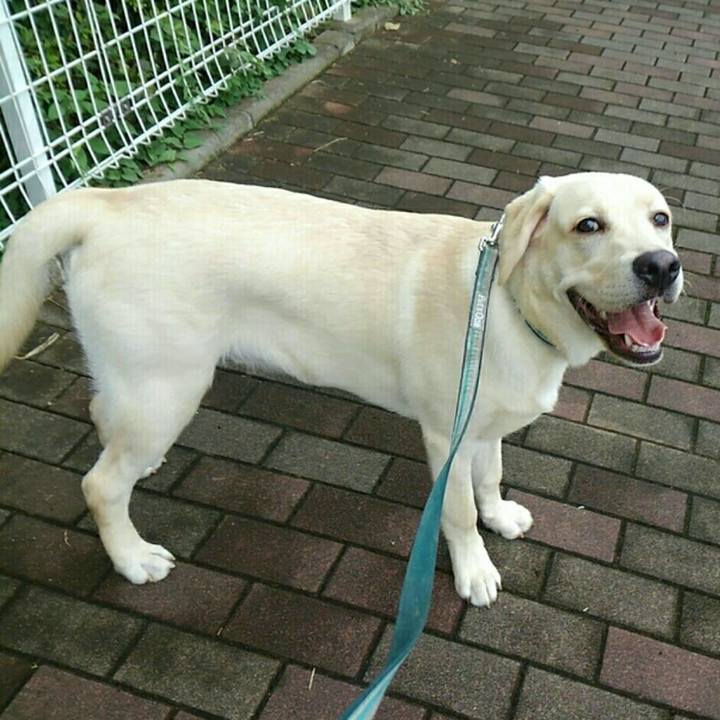 16becc0b 8185 4e35 9984 f65e803ad7d6