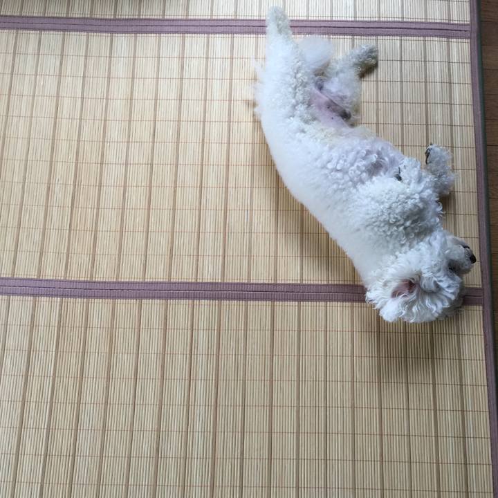 16bf265e b73f 4992 9380 a8dd5c9fb347